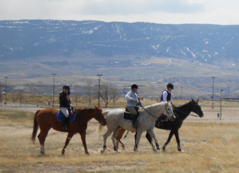 Platte Ridge Horses