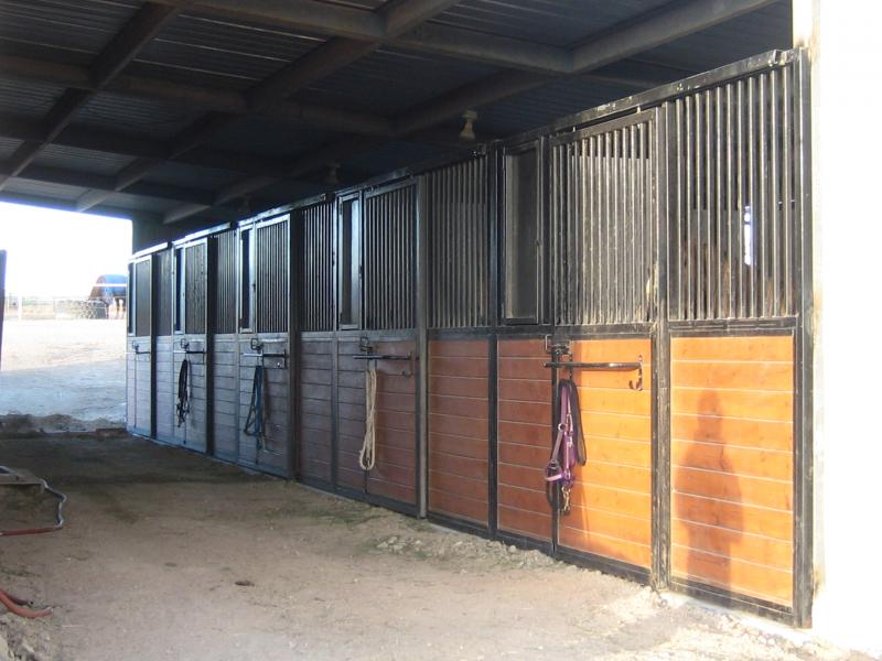 Box Stalls With Runs