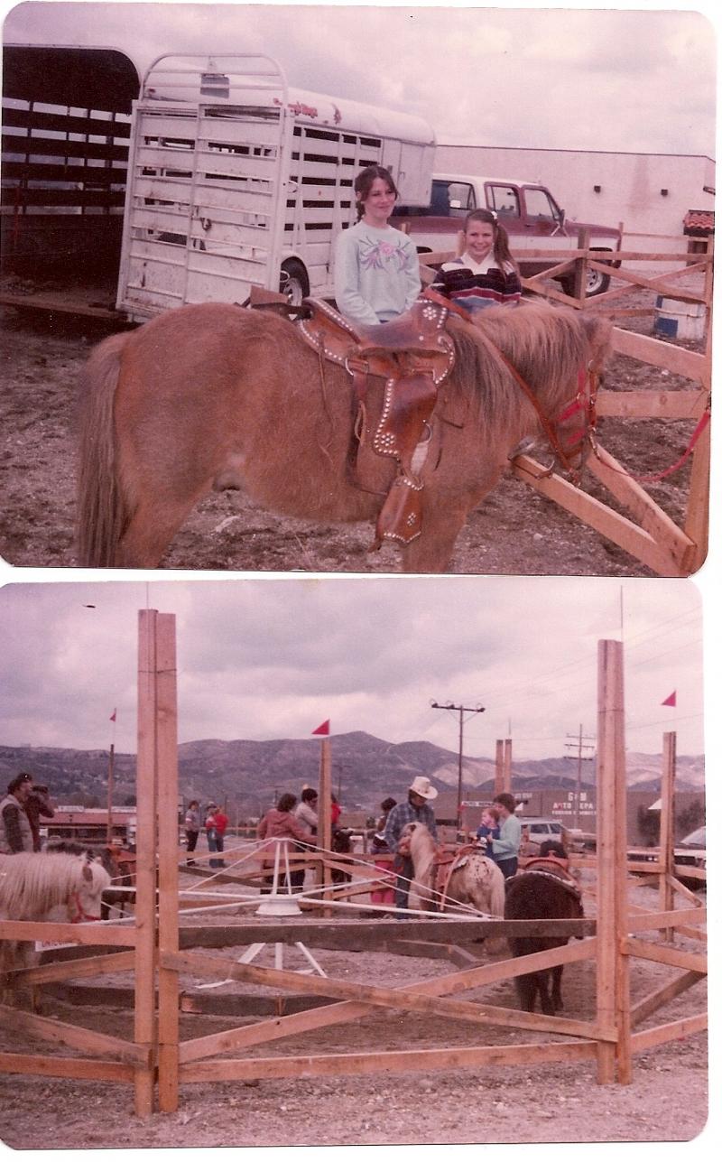 Pony Ride Business in the 1970's